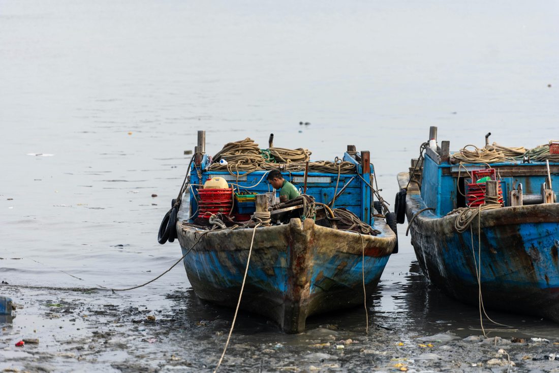 MRM deep sea fishing boats